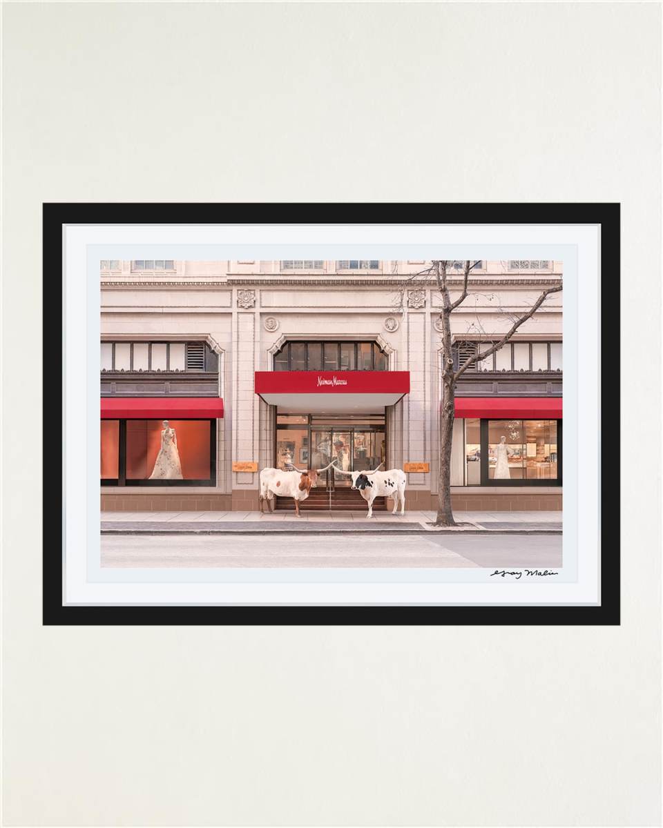 "The Longhorns, Neiman Marcus, Downtown Dallas" Framed Fine Art Photography Print